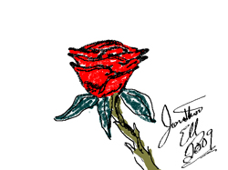 rose