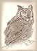 Great Horned Owl 