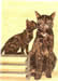 Cat and Kitten