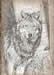 Wolf by Trees 