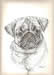 Pug Head
